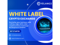 build-your-elite-whitelabel-crypto-exchange-software-at-hivelance-small-0