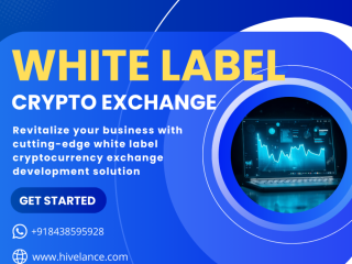 build-your-elite-whitelabel-crypto-exchange-software-at-hivelance